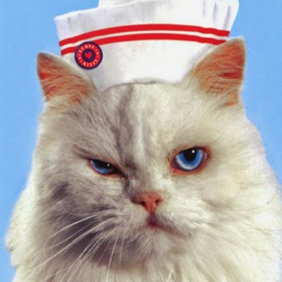 Meet your Posher, Kristin - Picture 1 of 1